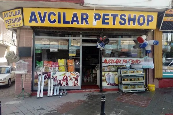 Avcılar Petshop - Resim 2
