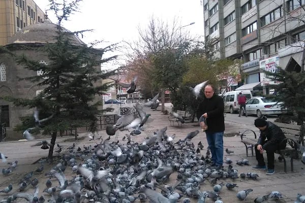 Kar yağdı Türbesi - Resim 7