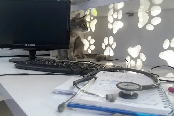 Adana Lotus Veteriner Kliniği - Resim 15
