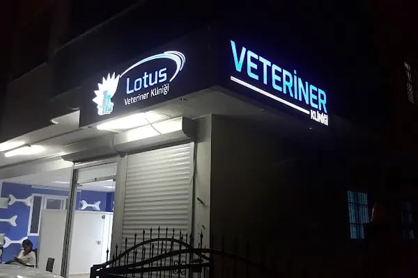 Adana Lotus Veteriner Kliniği - Resim 20