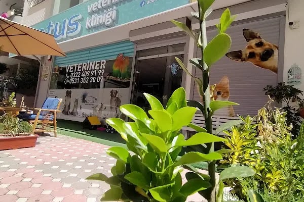 Adana Lotus Veteriner Kliniği - Resim 10