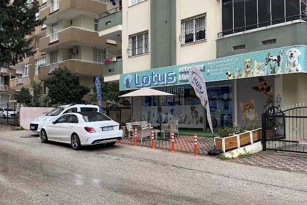 Adana Lotus Veteriner Kliniği - Resim 4