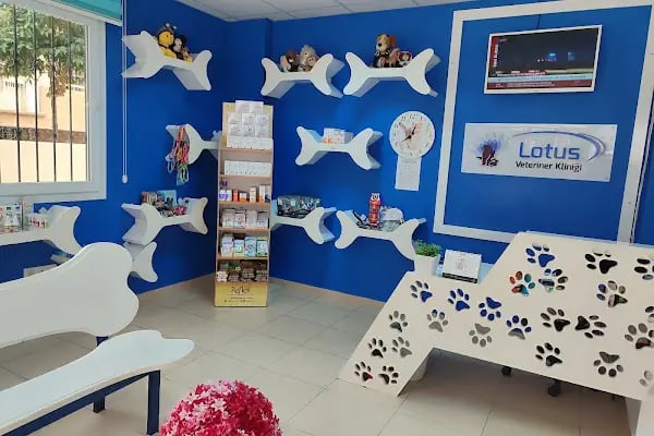Adana Lotus Veteriner Kliniği - Resim 2