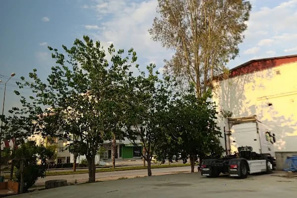 Karaisalı Belediyesi - Resim 8