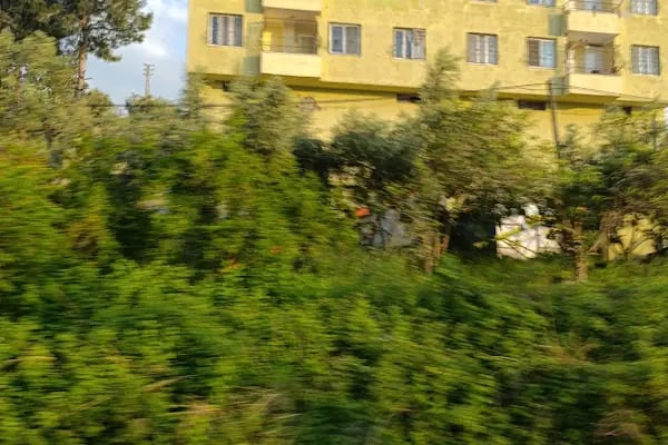 Karaisalı Belediyesi - Resim 19