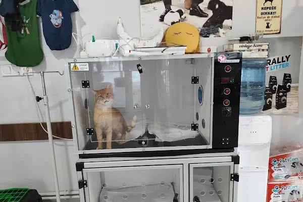Bağbaşı Hypatia Veteriner Kliniği - Resim 5