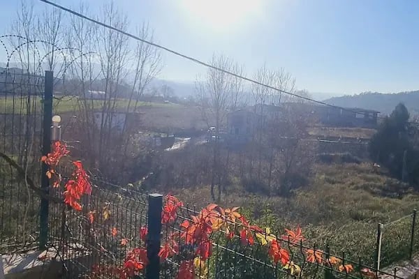 Vivera evleri - Resim 6