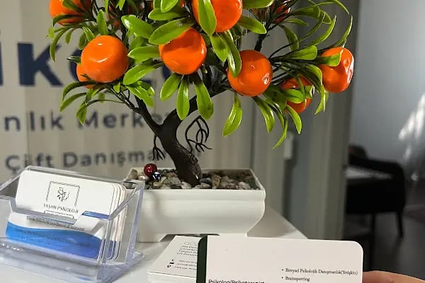 YAŞAM PSİKOLOJİ DANIŞMANLIK MERKEZİ - Resim 17