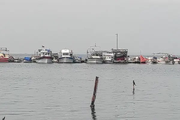 Ekmek teknesi - Resim 14
