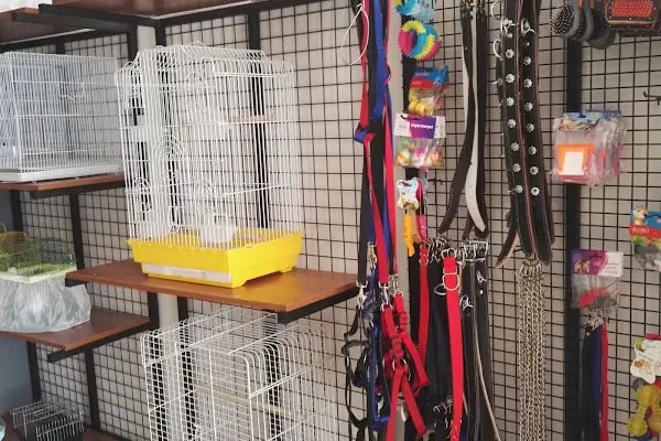 Akd Petshop Ve Akvaryum - Resim 7
