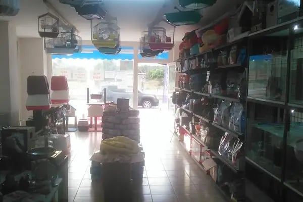Akd Petshop Ve Akvaryum - Resim 9