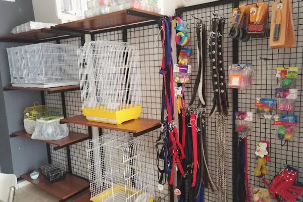 Akd Petshop Ve Akvaryum - Resim 15
