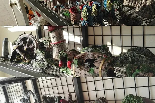 Akd Petshop Ve Akvaryum - Resim 2
