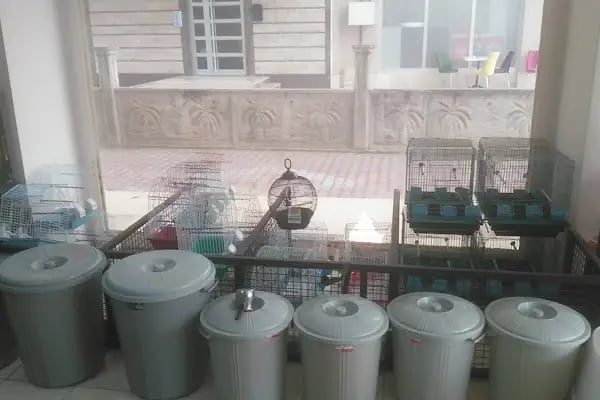 Akd Petshop Ve Akvaryum - Resim 11