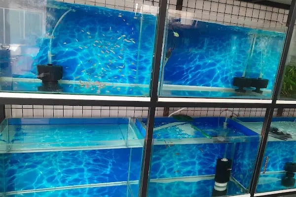 Akd Petshop Ve Akvaryum - Resim 4