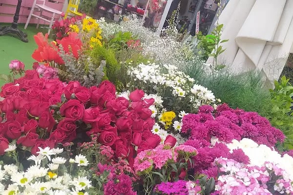 Keçiören sanatoryum Pırıltı Çicek Evi - Resim 6