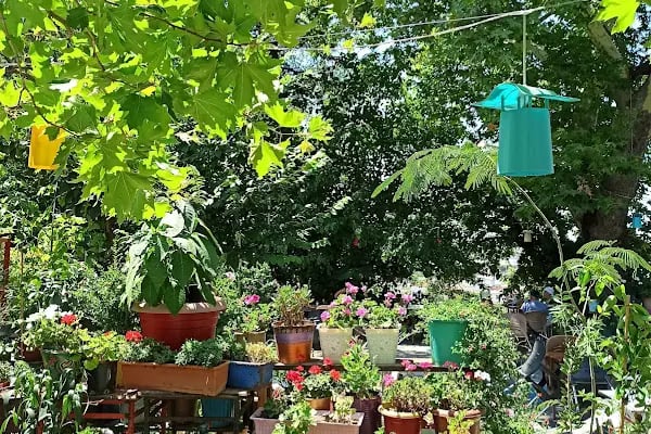Park Düğün Salonu Karacabey - Resim 6
