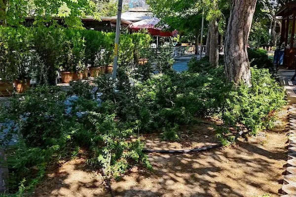 Park Düğün Salonu Karacabey - Resim 4