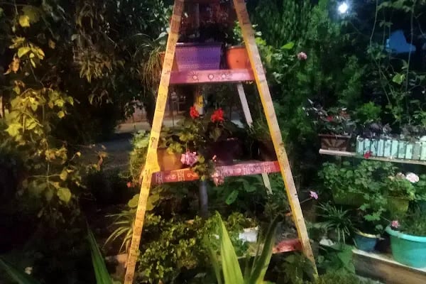 Park Düğün Salonu Karacabey - Resim 8