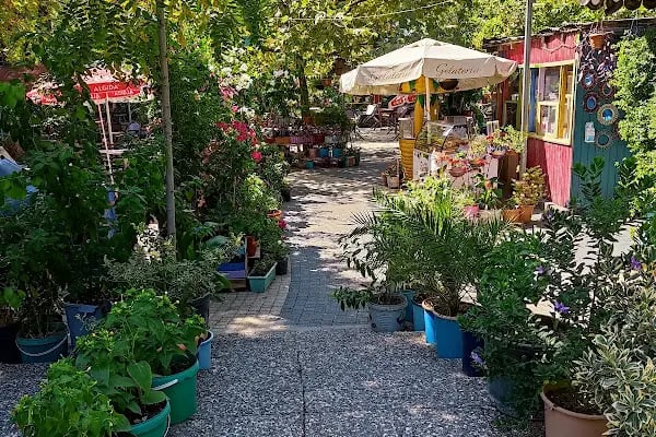 Park Düğün Salonu Karacabey - Resim 2