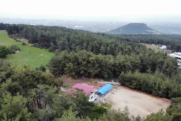 Nefes Binicilik - Resim 13