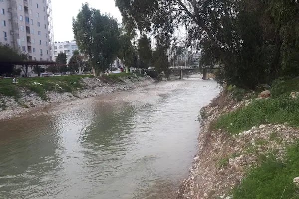 Memoş Tantuni - Resim 18