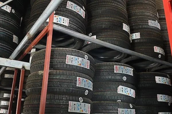 Yılmaz Kardeşler Oto Lastik Lassa-Bridgestone-Dayton - Resim 16