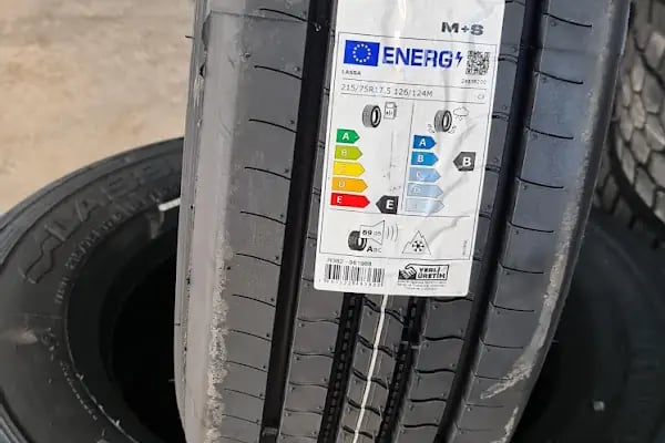 Yılmaz Kardeşler Oto Lastik Lassa-Bridgestone-Dayton - Resim 20