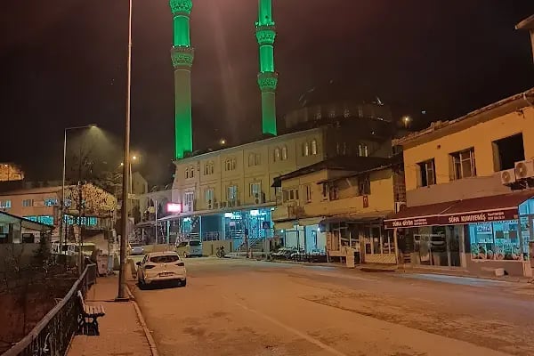 Aladağ Merkez Cami - Resim 16