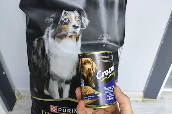 Çukurova Pet - Resim 2