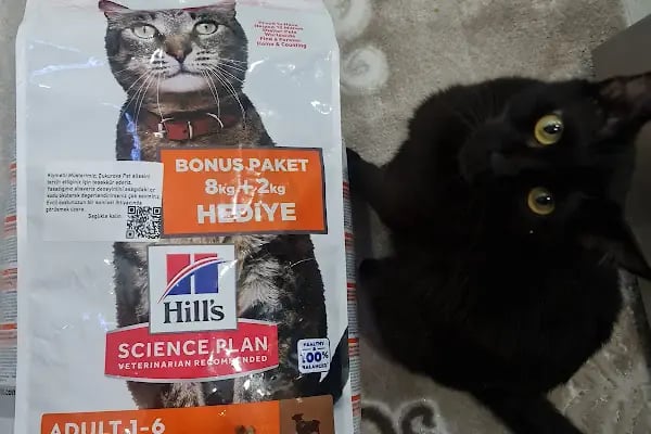 Çukurova Pet - Resim 4