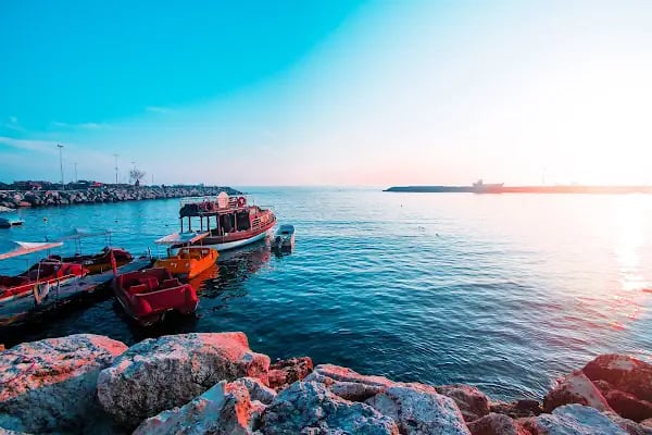 Barınak Cafe - Resim 18