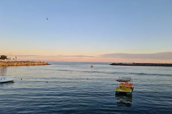 Barınak Cafe - Resim 8