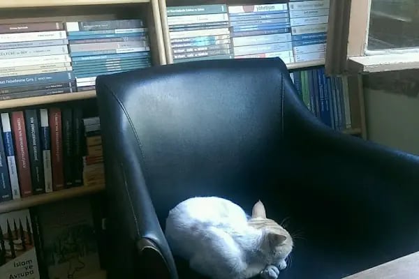 Çizgi Kitabevi - Resim 9
