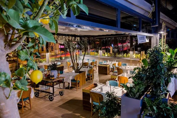 Trilye Restoran - Resim 2
