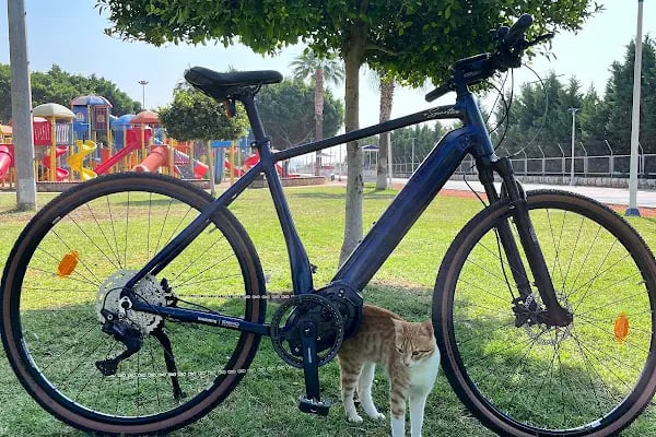 Deli'den Bike, Bisiklet Satış, Bisiklet - Resim 17