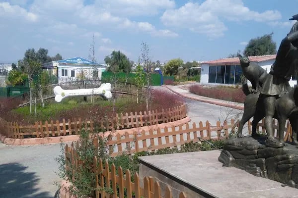 Buca Belediyesi Sokak Hayvanları Rehabilitasyon Merkezi BUCA RM - Resim 13
