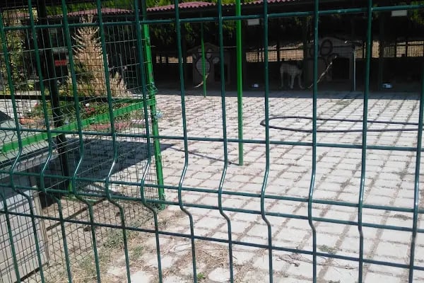 Buca Belediyesi Sokak Hayvanları Rehabilitasyon Merkezi BUCA RM - Resim 5