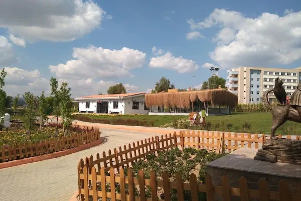 Buca Belediyesi Sokak Hayvanları Rehabilitasyon Merkezi BUCA RM - Resim 11