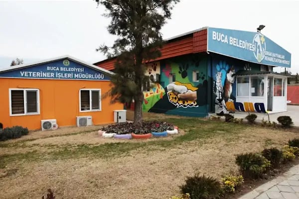 Buca Belediyesi Sokak Hayvanları Rehabilitasyon Merkezi BUCA RM - Resim 20