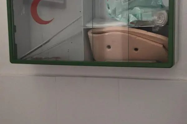 Altınay Surucu Kursu Karapürçek - Resim 20