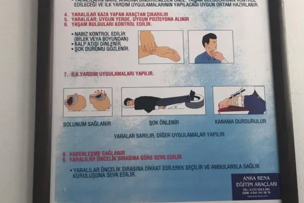 Altınay Surucu Kursu Karapürçek - Resim 13