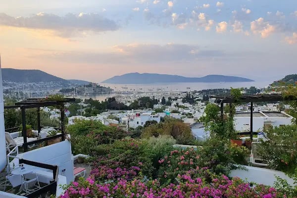 Antique Theatre Otel - Resim 3