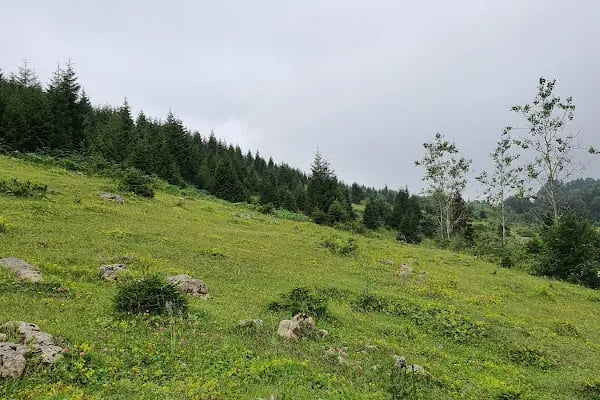 Kayaüstü Dağ Evi - Resim 20