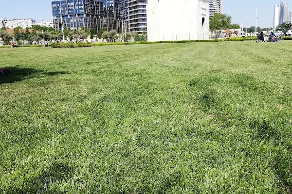 İBB Baruthane Millet Bahçesi Parkı - Resim 18