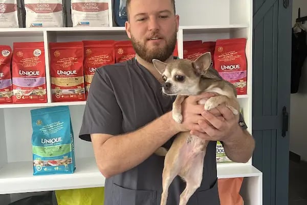 Alanya Meltem's Veteriner Kliniği / Ветеринар / Petshop / Grooming / зоомагазин / Аптека - Resim 15