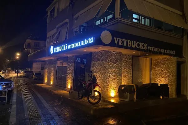 Alanya Meltem's Veteriner Kliniği / Ветеринар / Petshop / Grooming / зоомагазин / Аптека - Resim 8