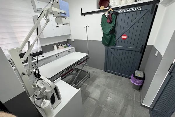 Alanya Meltem's Veteriner Kliniği / Ветеринар / Petshop / Grooming / зоомагазин / Аптека - Resim 3
