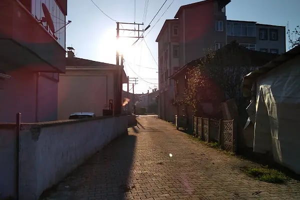 Yavuz Oto Kuaför - Resim 7