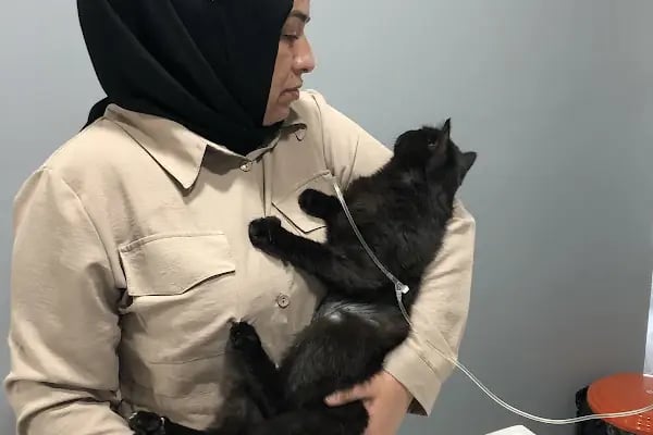 Vetmoon Veteriner Kliniği - Resim 12